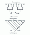 Figure 78 - Aperiodic distributors