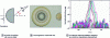 Figure 12 - Maxwell's Poisson's Eye Lens [22]