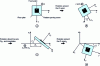 Figure 24 - Rotations for positioning an element on a compliant surface