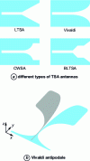 Figure 5 - Progressive transition antennas