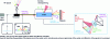 Figure 30 - Example of spectra from the rainbow analyzer