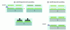 Figure 13 - Underfill deposition (source: LETI)