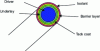 Figure 39 - TSV (top view)