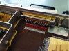 Figure 37 - Flexible circuit interconnecting a connector to a printed circuit board