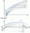 Figure 7 - Compound parabolic concentrator (CPC)