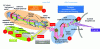 Figure 26 - Principle of an individual laser line on the Laser Megajoule (© 2020 Copyright CEA DAM)