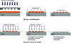 Figure 17 - Schematic illustration of the conventional microlens matrix manufacturing process.