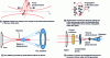 Figure 15 - Different stages in the generation of THz pulses by photo-induced breakdown in air