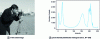 Figure 2 - Image and histogram