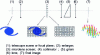 Figure 11 - Schematic diagram of a closed-beam field/pupil inversion spectro-imager (top)