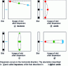 Figure 5 - Spectro-spatial aberrations in a dispersive linear-field spectro-imager