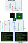 Figure 21 - Character recognition (here the letter s ) using Fourier holography