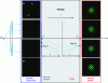 Figure 4 - Space-domain simulation using selected frequency components