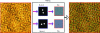 Figure 10 - Two periodic quantum box arrays revealed by spatial filtering