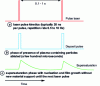 Figure 4 - PLD process (according to [9])