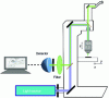 Figure 1 - Optical diagram of a conventional full-field microscope