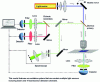 Figure 3 - Optical diagram of a confocal microscope