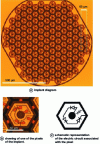 Figure 6 - Silicon photovoltaic implant like those used by Pixium Vision (adapted from [39])