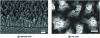 Figure 9 - Scanning electron microscope (SEM) coating of the surface of a doped diamond electrode nanostructured on a forest of carbon nanotubes (adapted from [66])