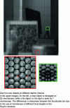 Figure 22 - Raw image recorded by the detector array (raw image) corresponding to the two images in figure 21