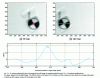 Figure 8 - Correlation point matching