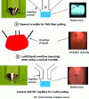 Figure 19 - Liquid behavior as a function of capillary geometry