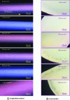 Figure 30 - Distribution of bubbles in µ-PD pulled sapphire fibers as a function of pulling speeds