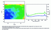 Figure 26 - Raman mapping of an air bubble embedded in a PP sample after extrusion