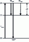 Figure 3 - Principle of de-excitation mechanisms between energy levels of a TR ion