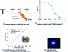 Figure 10 - Example of a set-up for laser characterization of ceramics