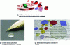 Figure 12 - Some examples of other applications for transparent ceramics