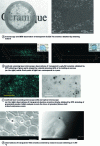 Figure 2 - Different types of porous structures found in transparent ceramics and associated characterization techniques (after [2] [3] [4]).