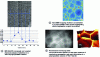 Figure 4 - Characterization techniques adapted to the study of chemical species segregation at grain boundaries in ceramics