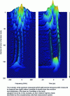 Figure 18 - Joint use of dispersive Fourier transform and temporal lensing techniques for complete characterization of ultrafast laser dynamics (credits: John M. Dudley)