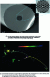 Figure 8 - The supercontinuum phenomenon