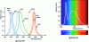 Figure 1 - Spectrum of monochromatic and white LEDs