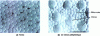 Figure 51 - Retinal paving by cones in the fovea, and by cones and rods in peripheral vision