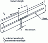 Figure 13 - Bragg grating