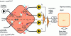 Figure 15 - Polarization-sensitive coherent receiver for demodulating a non-polarization-multiplexed signal