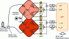 Figure 16 - Polarization-insensitive coherent receiver suitable for demodulating a polarization-multiplexed signal