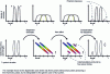 Figure 9 - Mechanism for creating phantom pulses by intracanal four-wave mixing