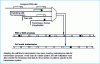 Figure 8 - ATM and transmission