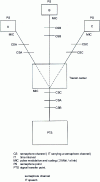 Figure 23 - Semaphore transfer point connection