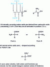 Figure 8 - Structure of standard natural amino acids