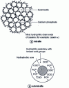 Figure 4 - Schematic representations of a micelle and a submicelle, from 