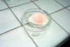 Figure 3 - Egg at 65°C