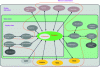 Figure 11 - Mapping of relevant stakeholders