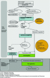 Figure 2 - Procedure diagram