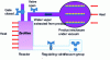 Figure 5 - First phase of zeodration: adsorption of water by zeolite (doc. Bucher-Zedrys)