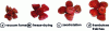 Figure 9 - External appearance of raspberries after dehydration using different techniques